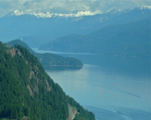 Aerial View of Woodbury Point